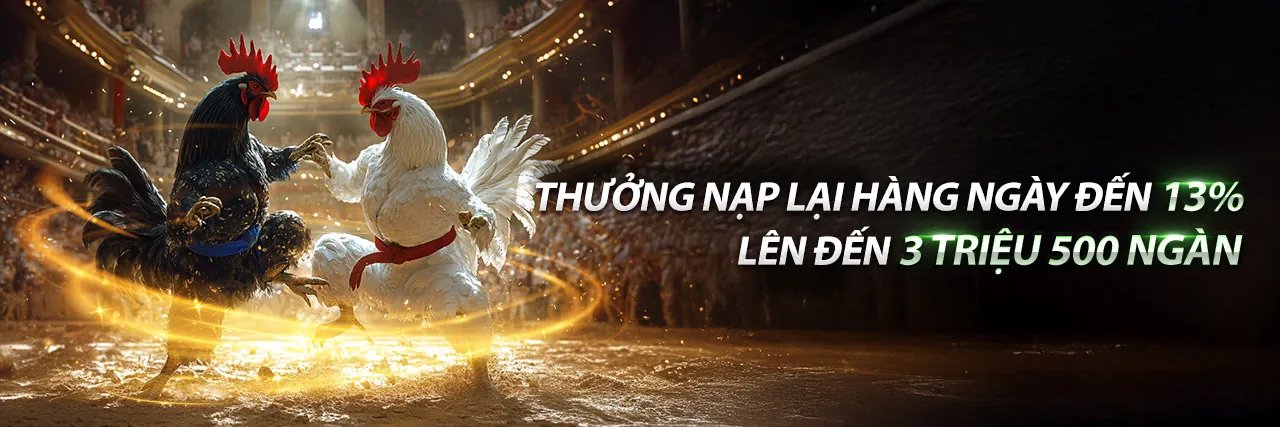 Chương Trình VIP VZ99 Bet 2026 với các đặc quyền độc quyền